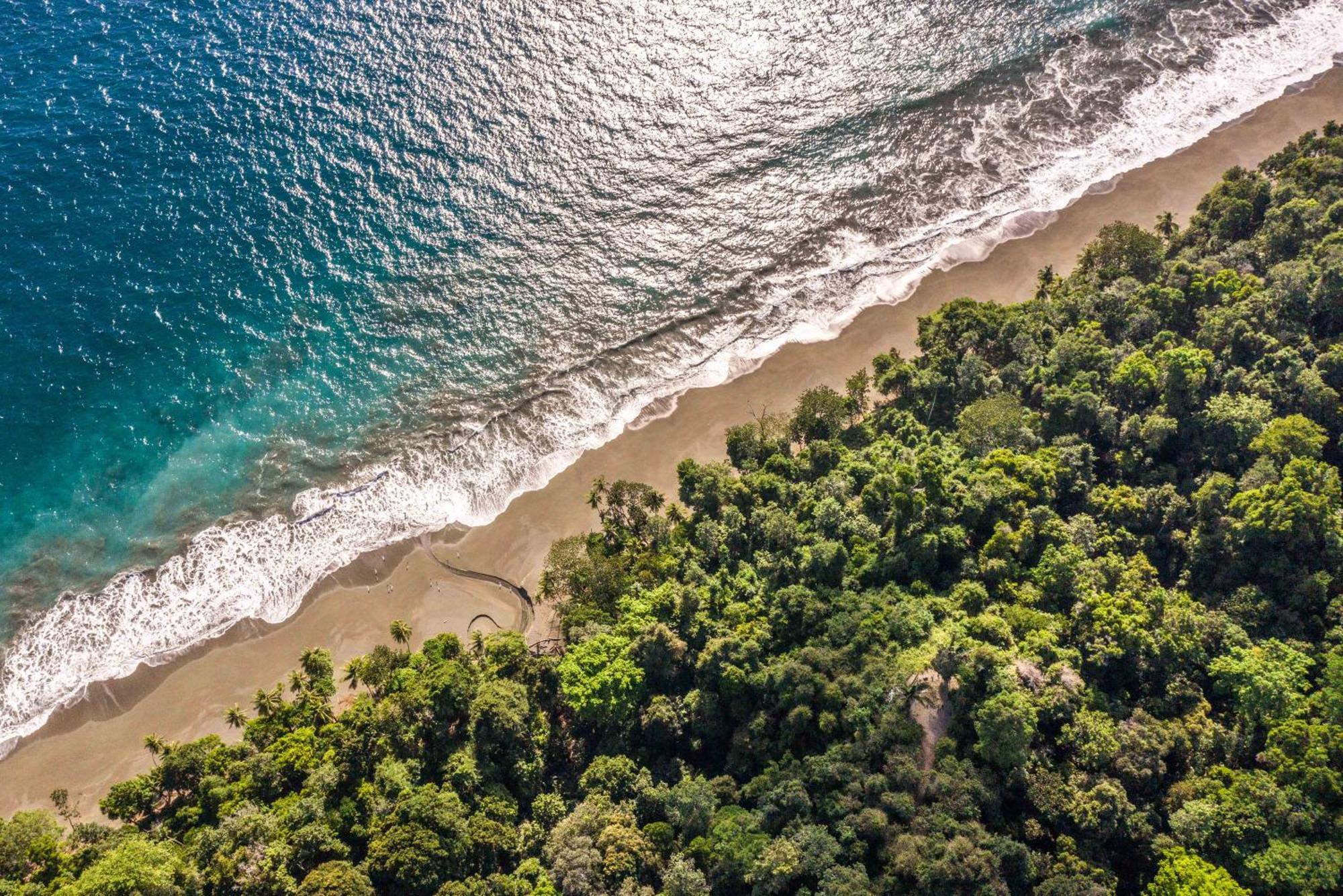 El Remanso Rainforest Lodge Puerto Jimenez Ngoại thất bức ảnh