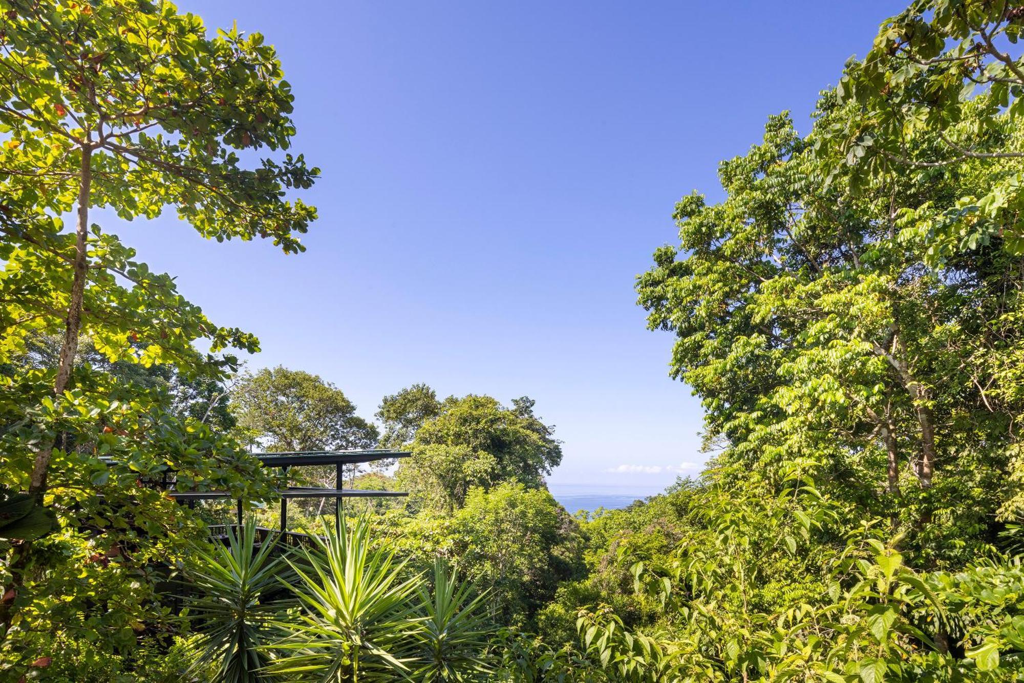 El Remanso Rainforest Lodge Puerto Jimenez Ngoại thất bức ảnh