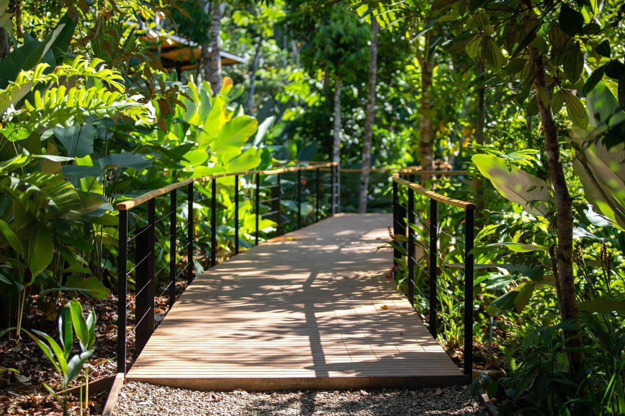 El Remanso Rainforest Lodge Puerto Jimenez Ngoại thất bức ảnh