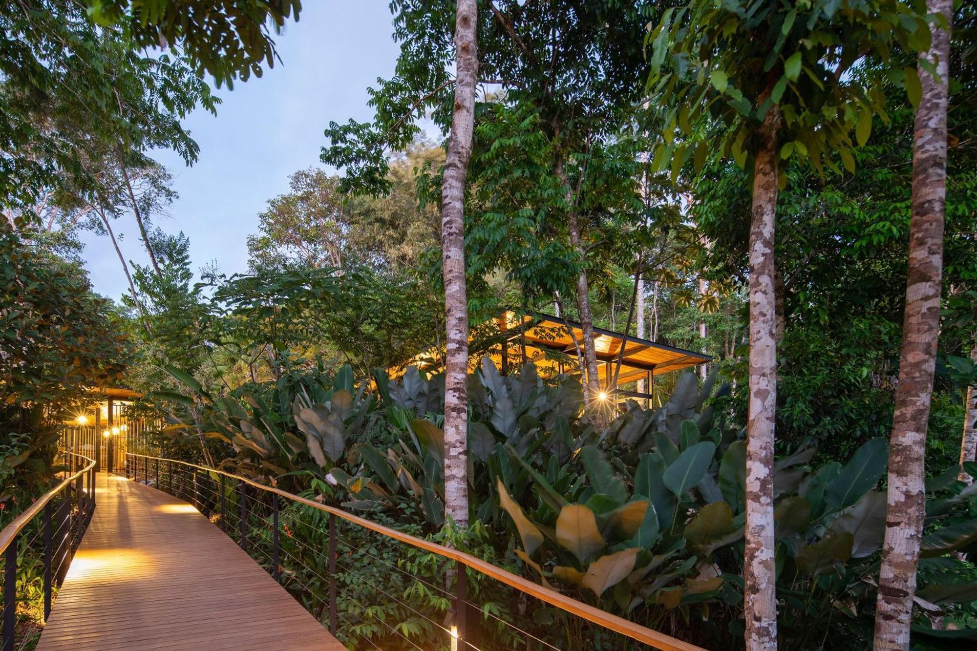 El Remanso Rainforest Lodge Puerto Jimenez Ngoại thất bức ảnh