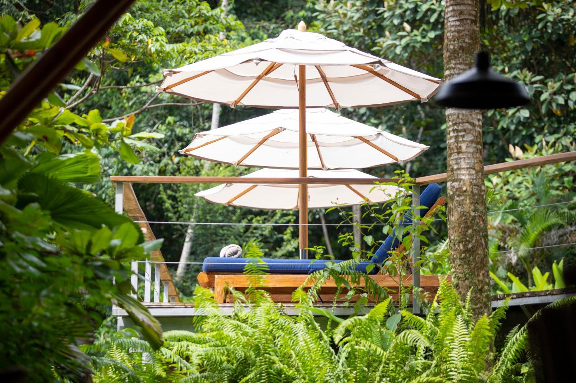 El Remanso Rainforest Lodge Puerto Jimenez Ngoại thất bức ảnh