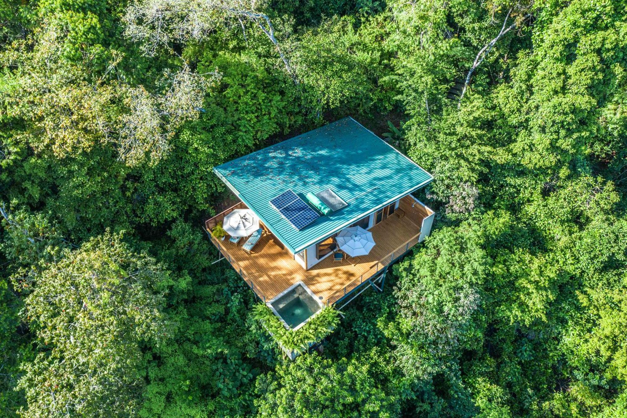 El Remanso Rainforest Lodge Puerto Jimenez Ngoại thất bức ảnh
