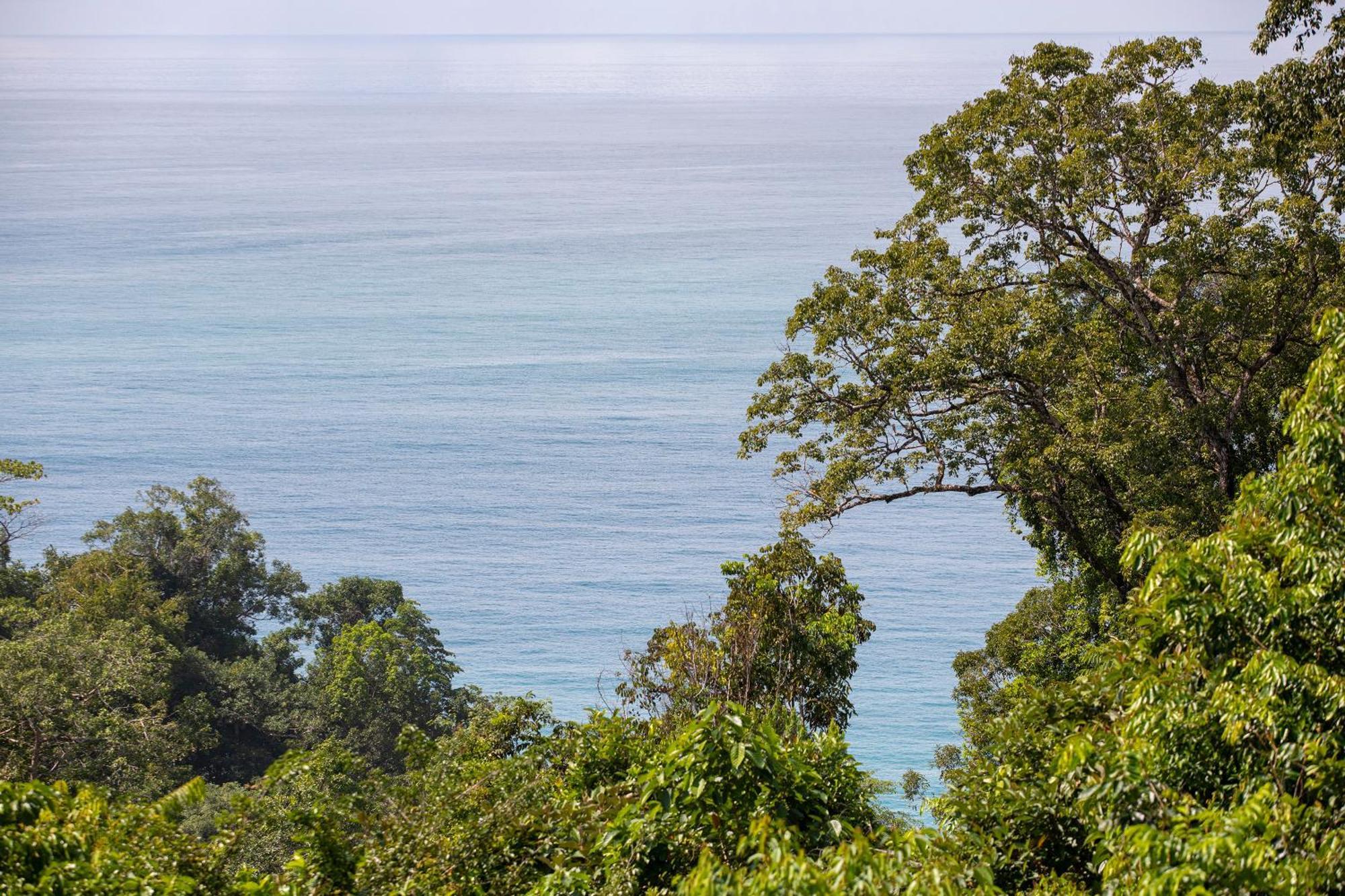 El Remanso Rainforest Lodge Puerto Jimenez Ngoại thất bức ảnh